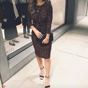 Classy Animal Print Long Sleeve Midi Dress